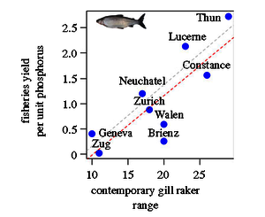 Correlation between whitefish yield per unit phosphorus (y axis) and the range of gill raker numbers