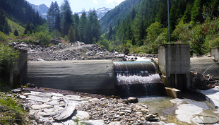 Das Wehr des Kleinwasserkraftwerks «Wannebode» bei Reckingen (VS) ist eine Zäsur im Kontinuum des Blinnenbachs. (Foto: Eawag)