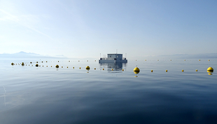 Die Plattform «LéXPLORE» auf dem Genfer See (Bild: Natacha Pasche)