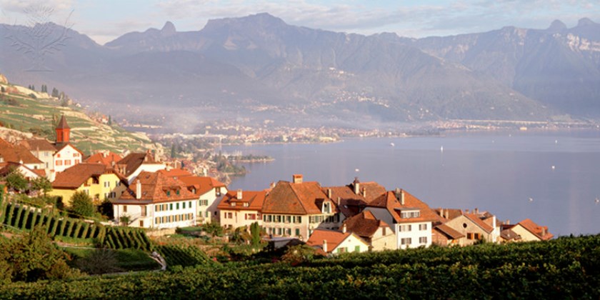 [Translate to Français:] High angle view of houses in a town, Lake Geneva