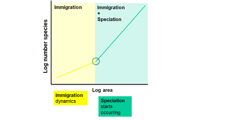 Fig 2. When the relationship for a single group of organisms is studied over a sufficiently large range of area sizes, the two-slope SAR emerges that is know as the evolutionary species area relationship. The breakpoint is the critical area size where the more strongly area-size-dependent speciation process starts to operate (see Losos & Schluter 2000 Nature for green ecosystems; Wagner et al. 2014 Ecology Letters for blue ecosystems). 