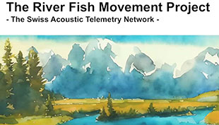 The river fish movement project