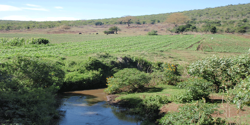 water-environment-and-food-security