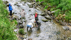 Fig. 1: The scientists investigated water chemistry and biology in reaches upstream and downstream of WWTPs. (Photo: Eawag) Fig. 1: The scientists investigated water chemistry and biology in reaches upstream and downstream of WWTPs. (Photo: Eawag)