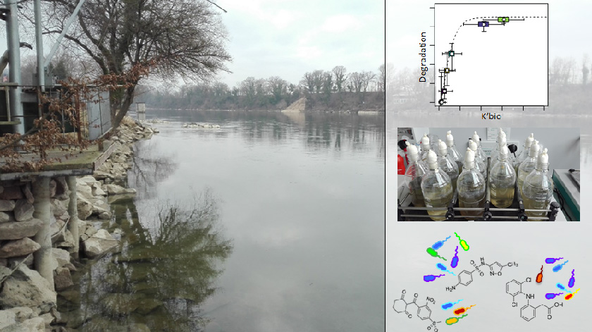 River Rhein, Photographer: Carolin Seller on 06.03.2018 River Rhein, Photographer: Carolin Seller on 06.03.2018
