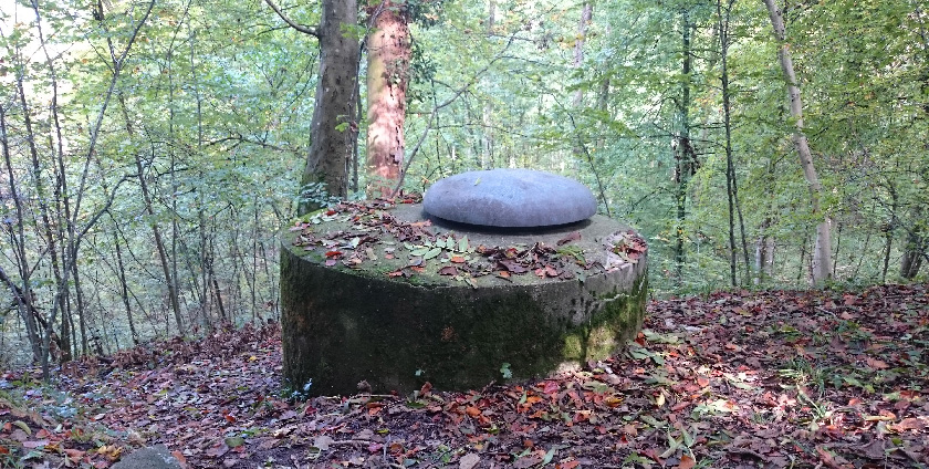 Quellfassung am Zürichberg, Foto Karin Kiefer, Eawag 