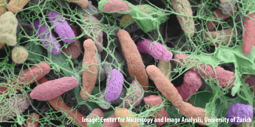 environmental-microbiology