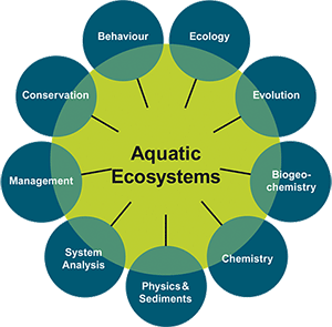 Research areas of CEEB