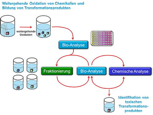 Effekt-basierte Analyse für die Bestimmung von toxischen Transformationsprodukten