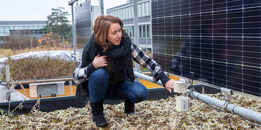 Eawag researcher Lauren Cook investigates trade-offs and synergies in the design of green roofs that combine vegetated areas with solar photovoltaics. (Photo: Esther Michel)