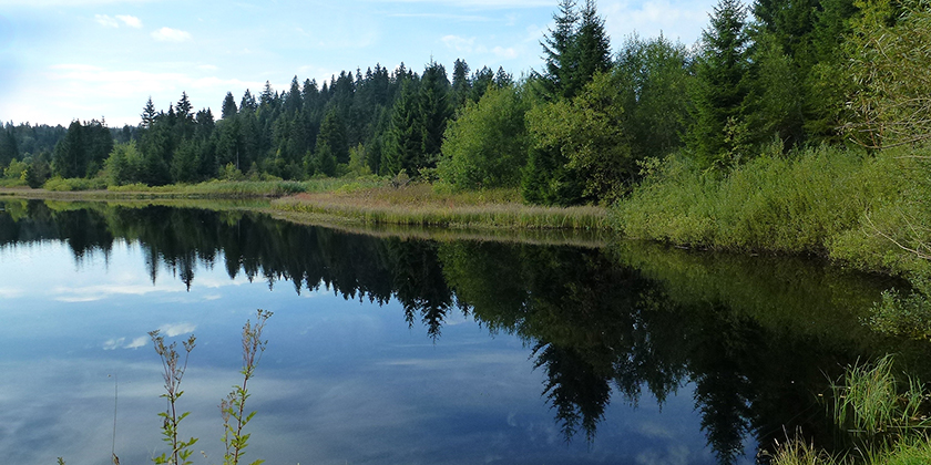 Süsswasser- und Landökosysteme sowie ihre Schnittstellen sind die Hotspots der Biodiversität und der zugrundeliegenden ökologischen und evolutionären Prozesse. Süsswasser- und Landökosysteme sowie ihre Schnittstellen sind die Hotspots der Biodiversität und der zugrundeliegenden ökologischen und evolutionären Prozesse.