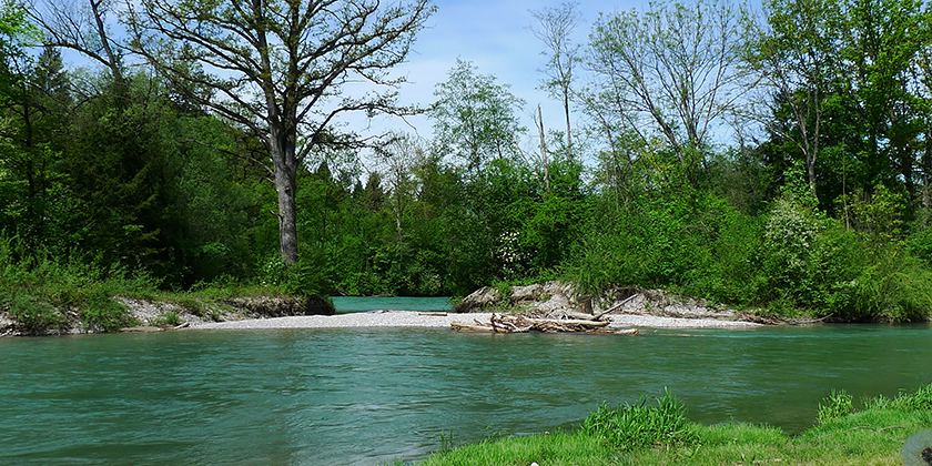 river-restoration