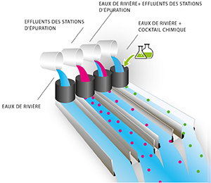 Dans l'approche expérimentale, la composition des effluents fera l'objet de manipulations contrôlées et les divers organismes ou combinaisons d'organismes seront exposés aux différents effluents.