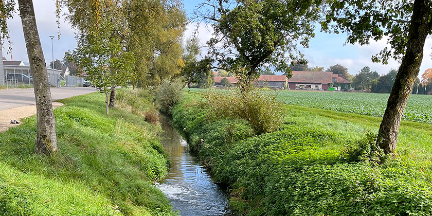 The river Halbbach in Hallau (SH). The waste water treatment plant effluent of the WWTP Hallau (urban influence) and a field (influence agriculture) are visible (Photo: Kim Luong, Eawag) The river Halbbach in Hallau (SH). The waste water treatment plant effluent of the WWTP Hallau (urban influence) and a field (influence agriculture) are visible (Photo: Kim Luong, Eawag)