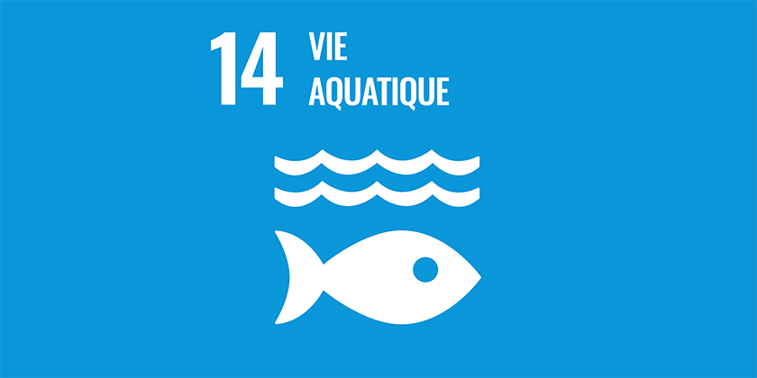 Objectif 14 – Vie aquatique