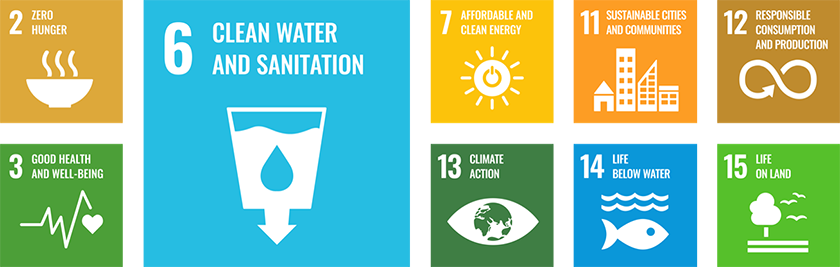 Sustainable Development Goals
