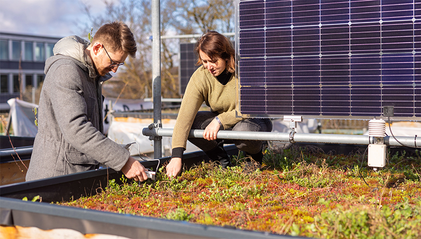 Which green roof planting can reduce heat the most? In her experiment, Lauren Cook investigated this question and more. She is seen here working with PhD student Giovan Battista Cavadini to measure the transpiration rate of Lamb’s Ear on one of the model green roofs (Photo: Isabel Plana, Eawag).