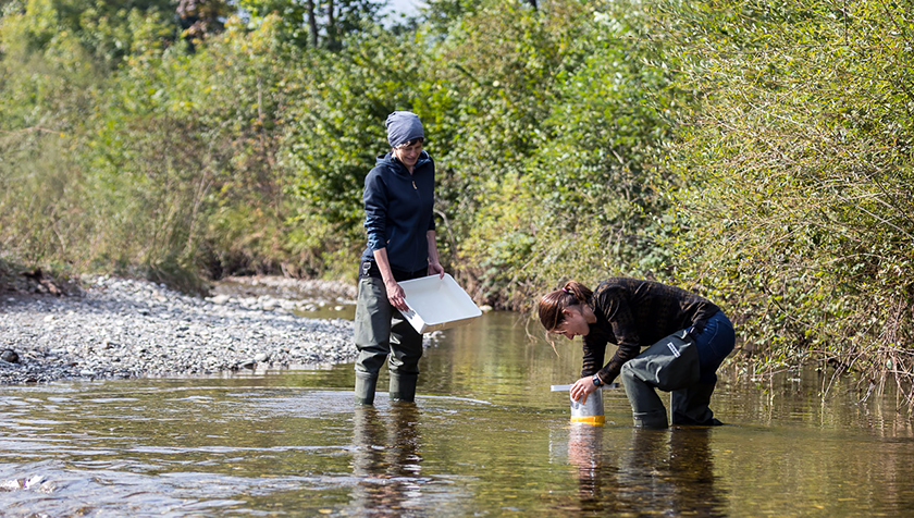 Researchers sampling macroinvertebrates on the gravel bed – in other words, invertebrates that live on the river bottom and can be seen with the naked eye (Photo: Alessandro Della Bella, Eawag).