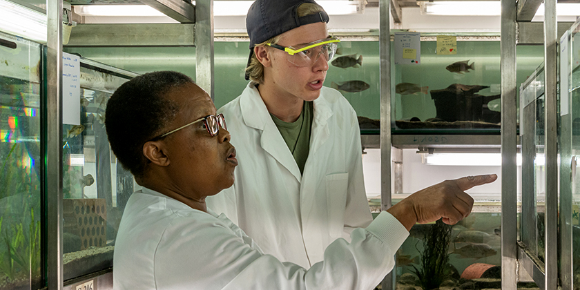 Laboratory manager Salome Mwaiko and apprentice Max Hofland in Eawag's warm water laboratory in Kastanienbaum.