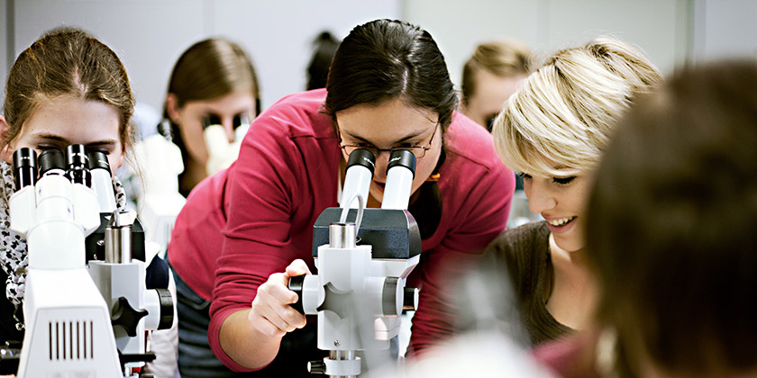 Aquatic internship at Eawag. (Photo: Aldo Todaro)