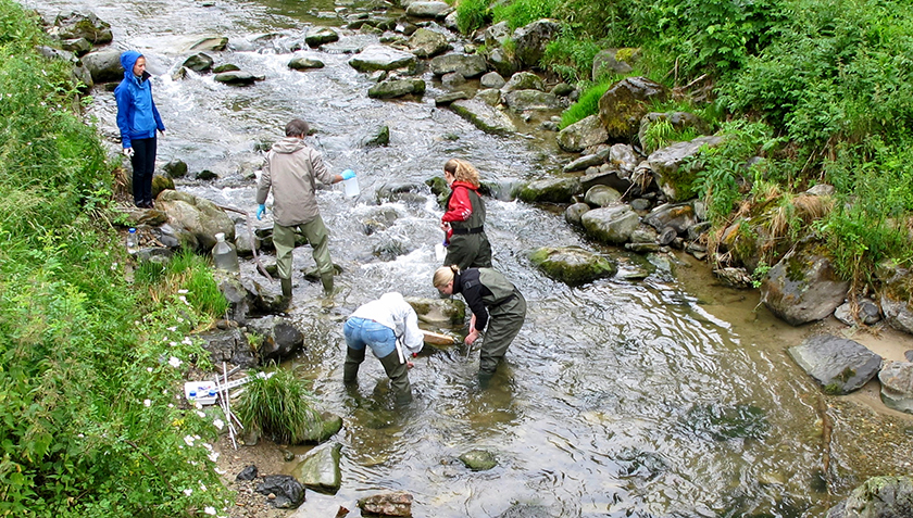 Die Forschenden untersuchen die Wasserchemie und -biologie in den Fliessgewässern jeweils ober- und unterhalb von Kläranlagen (Foto: Eawag).