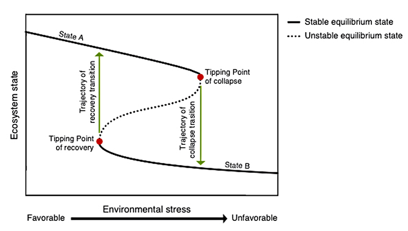 Points de bascule dans la théorie écologique: Quand les conditions environnementales sont favorables (peu de stress environnemental), l’écosystème est dans la branche supérieure (état A). Si les conditions se dégradent peu à peu, l’écosystème suit une ligne d’équilibre stable jusqu’à ce que les conditions dépassent le point de bascule d’effondrement. À ce stade, un léger ajout de stress environnemental provoque un changement abrupt du régime de l’écosystème, qui se décale vers la branche inférieure (état B). Quand l’écosystème bascule, il ne suffit pas de réduire le stress environnemental en deçà du point de bascule, il faut revenir à un niveau de stress très inférieur, indiqué par le point de bascule de rétablissement. (Graphique: Eawag, Catalina Chaparro)
