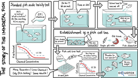 The development of a fish cell line assay for the determination of acute fish toxicity. (Image: aQuaTox-Solutions)