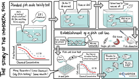 The development of a fish cell line assay for the determination of acute fish toxicity. (Image: aQuaTox-Solutions) The development of a fish cell line assay for the determination of acute fish toxicity. (Image: aQuaTox-Solutions)