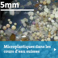 Microplastiques dans les cours d'eau suisses