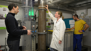 A la station pilote de l’Eawag à Dübendorf, l’urine produite par le personnel est transformée en engrais. (Photo: Peter Penicka)