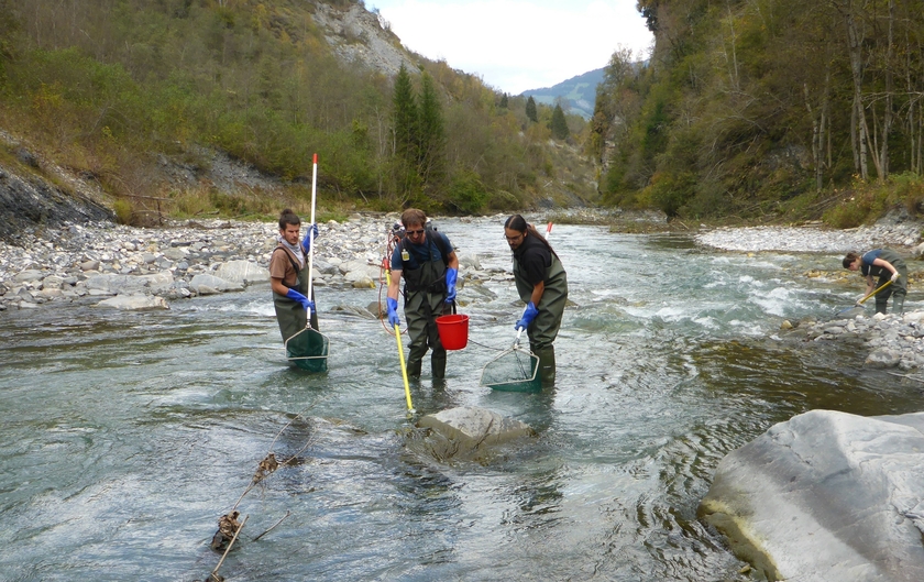 Electrofishing in the Glenner river. (Photo: Eawag)