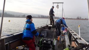 Probenahmen von Sedimentkernen aus dem Greifensee bei Zürich. (Foto: Aurea Chiaia, Eawag) 