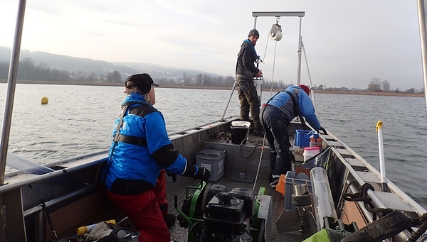 Prélèvements de carottes de sédiments dans le Greifensee près de Zurich. (Photo : Aurea Chiaia, Eawag) 