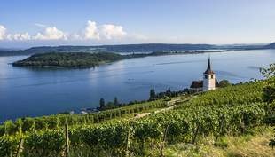 Vue sur le lac de Bienne (Photo : istock)