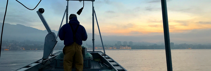 Setting nets for collecting samples of present-day whitefish species, which will be used to compare their genetic make-up with the historical samples. (Photo: David Frei)