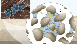 Photo de couverture: L'image du microscope électronique à balayage montre une colonie de bactéries (teinte en bleu) autour d’une petite racine (brun) de quelques micromètres dans le sol. L’image représente comment communautés microbiennes et bactériennes influencent l’émission de CO2 hors du sol par la respiration hétérotrophe: le sol contient des grains de sol auxquels adhèrent des communautés microbiennes qui transforment l’oxygène dissout O2 et le carbone organique DOC à partir de la substance organique (OM). (graphique: Springer Nature / Institut de génie écologique.