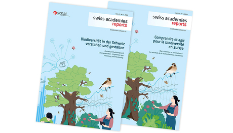 Rapporto del Forum sulla biodiversità dell'Accademia svizzera delle scienze "Comprendere e plasmare la biodiversità in Svizzera" (fonte, scnat) 