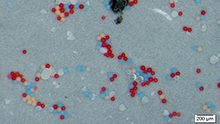Informationen rund um Mikroplastik: Definition, Mengen, Analytik, öko- und humantoxikologische Effekte