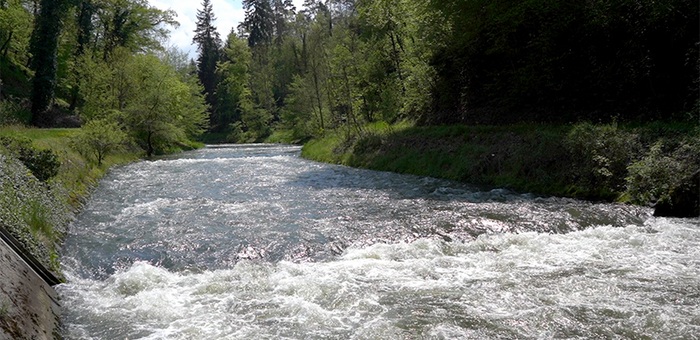 Die Eawag-Lernenden liefern mit ihrer Arbeit die Grundlage für die langjährige Beobachtung der Wasserqualität (Foto: Eawag, Manuel Koller)