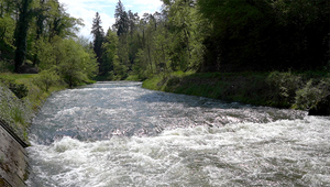 Avec leur travail, les apprentis de l’Eawag fournissent les bases d’une surveillance à long terme de la qualité de l'eau. (Photo: Eawag, Manuel Koller)