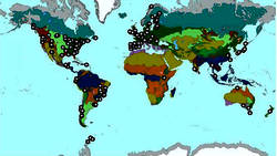 Global distribution of stream and riparian field sites.