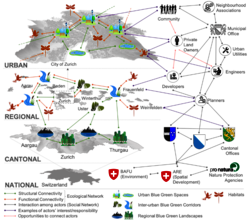 Sozial-ökologische Netzwerkstruktur