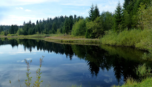 Etang des Royes, Jura (Foto: Bärbel Zierl)