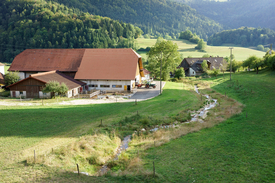 Ausreichender Gewässerraum schafft die Verbindung zwischen aquatischen und terrestrischen Lebensräumen und dient als Puffer gegen unerwünschte Stoffe im Wasser – hier der aufgewertete Ruisseau de la Motte im Jura. (Foto: Herbert Böhler & Flurin Bertschinger/Ex-Press/BAFU)