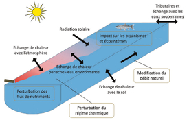 Rejet thermique dans une rivière: aperçu des flux de chaleur importants (flèches) ainsi que des processus touchés et conséquences possibles (encadrés).