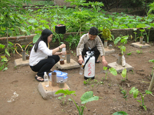 Prélèvements d’eau et de sédiments par des chercheurs vietnamiens et suisses dans les quartiers périphériques de Hanoi (© Eawag) 