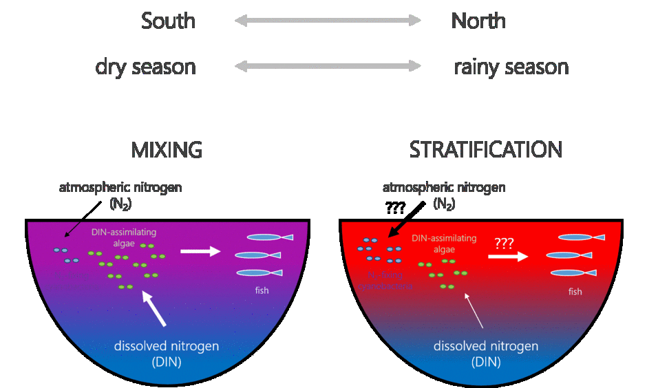Fig. 1: Fish production in Lake Tanganyika under mixed conditions and stratification