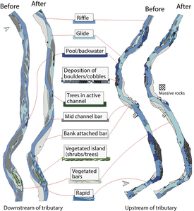 Figure 4. Caractéristiques eco-morphologiques predominantes avant et après les inondations artificielles. (Figure: Elsevier / doi.org/10.1016/j.jenvman.2021.114122)