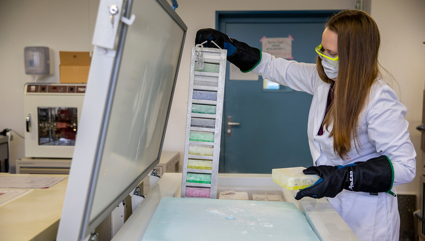 Deep-frozen wastewater samples can also be analysed at a later date, provided that new methods need to be researched first. (Photo: Eawag, Esther Michel)
