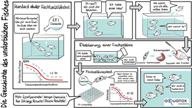 Die Entwicklung eines Fischzelllinientests zur Bestimmung von akuter Fischtoxizität. (Bild: aQuaTox-Solutions)